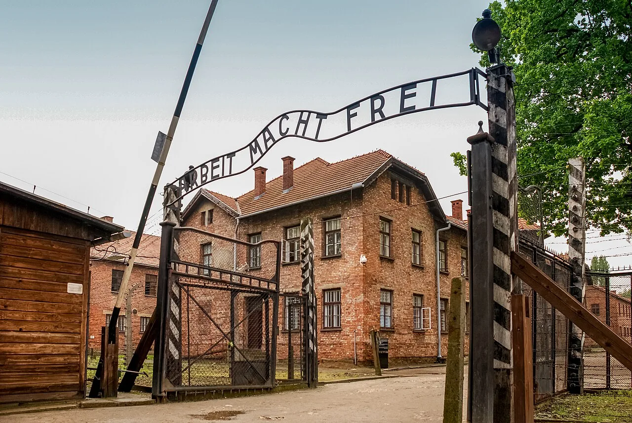 Auschwitz Aniti